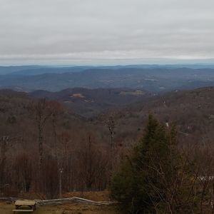 Meet your Posher, Rodney